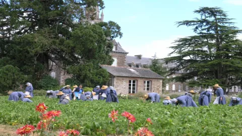 la-mere-conseil